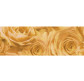 Калька URSUS А4 115г/м Розы Шампанское UR-50614601R