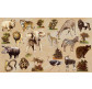 Декупажная карта-бумага KREUL 33*48см Африка KR-B8021