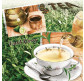 Салфетка для декупажа ! Поштучно 1/20 ! 33*33см №28501 Earl grey