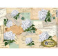 Декупажная карта-бумага 21*29,7см Vintage Design 40г/м Белая гортензия S068
