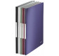 Папка с 40 файлами А4 Leitz Style 395900**