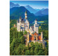 Пазлы  DankoToys 1000 эл. DT C1000-09-05 680*475