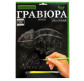 Набор для творчества DankoToys DT ГР-А4-02-05С Гравюра своими руками, Хамелеон