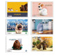 Альбом для рисования А4 20л. Школярик The Secret Life of Pets спиральный PB-SC-020-119