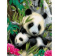 Картина раскраска по  номерам на холсте 40*50см Babylon VP812 Малыш панда