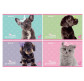 Альбом для рисования А4 12л Kite мод.241 Studio Pets SP19-241