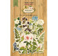 Чипборд (высечка) Фабрика Декору бумага 250г/м Botany summer, набор 59 шт FDSDC-04018