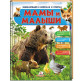 Детская книжка Пегас 20,5*25,7см Энциклопедия в вопросах и ответах, Мамы и малыши (рус) 472632