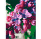 Картина раскраска по  номерам на холсте - 35*45см Rosa Premium N00013176 Сирень