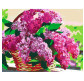 Картина раскраска по  номерам на холсте - 35*45см Rosa Premium N00013291 Сирень в корзине