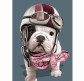 Картина раскраска по  номерам на холсте 20*30см Josef Otten RAS2024_O Biker dog