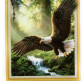 Алмазная мозаика по номерам на холсте с 3D эффектом 40*50см Josef Otten ELT0020 Орел на охоте