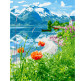 Картина раскраска по  номерам на холсте - 40*50см Никитошка GX39158 Успокаивающий пейзаж