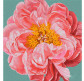 Картина раскраска по  номерам на холсте  - 40*40см Идейка КН2952 Pink kiss