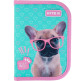 Пенал 1 отделение с  отворотами Kite мод 622 с наполнением Studio Pets SP21-622Н
