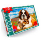 Пазлы DankoToys 260 эл. DT C260-13-08 330*230