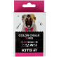Мелки цветные 12 штук Kite Dogs K22-075