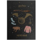 Школьный дневник Kite мод 262 Harry Potter HP23-262