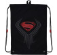 Сумка для обуви Kite мод 600 Education DC comics DC22-600M-2