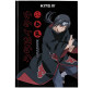Школьный дневник Kite мод 262 Naruto NR24-262-2