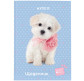 Школьный дневник Kite мод 262 Studio Pets SP24-262-3