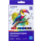 Фломастеры 10 цв. Kite мод 455 Classic K-455