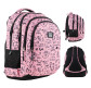 Рюкзак (ранец) GoPack школьный Education GO24-162L-6 Teens 44*32*18см