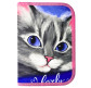 Пенал 1 отделение без отворотов Class 24006C Lovely Cat