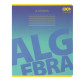 Тетрадь школьная предметная Алгебра А5+ 168*203мм 48л. ZiBi в клетку Gradient ZB.1702-02