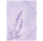 Папка А4+ Axent на резинках Lavender-2 1509-37-A
