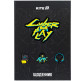 Школьный дневник Kite мод 262 Cyber K25-262-4