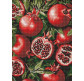 Алмазная мозаика по номерам на холсте - 30*40см Идейка АМО8290 Гранат в разрезе