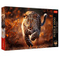 Пазлы Trefl 1000 эл. Фото Одиссея 10818 Дикий леопард
