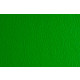 Папір для дизайну А3 Elle Erre 220г/м2 дві текстури 710230**_зеленый (№11 verde)
