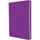 Щоденник А5 Economix 2020 Satin E21612-**_Сиреневый