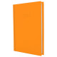 Щоденник А6 Economix 2021 Satin E2187*_Оранжевый