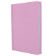 Щоденник А6 Economix 2021 Satin E2187*_Розовый
