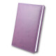 Щоденник 9,5*13,5см 2022 Бріск 3В-155 Winner_Фиолетовый (47466)