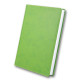 Щоденник 9,5*13,5см 2022 Бріск 3В-155 Winner_Фисташковый (31097)