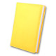 Щоденник 9,5*13,5см 2022 Бріск 3В-155 Winner_Желтый (57045)