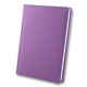 Щоденник А5 2022 Бріск 3В-55 Vienna_Фиолетовый (53796)