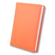 Щоденник А5 2022 Бріск 3В-71 Winner_Оранжевый (48152)