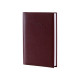 Щоденник А5 Economix 2024 Sahara E21696-**_Бордо