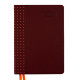 Щоденник А5 Leo Planner 2024 Destiny твердий 25243*_Коричневый