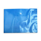 Папка-конверт А4 з кнопкою CLEAR BAG 209/Tz-1322/WE