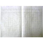 Книга пустографка А4 50арк газетка