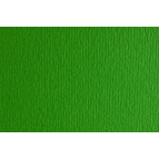 Папір для дизайну В1 70*100cм Elle Erre 220г/м2 №11 46470111 verde