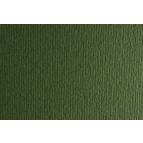 Папір для дизайну В1 70*100cм Elle Erre 220г/м2 №28 46470128 verdone