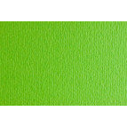Папір для дизайну В1 70*100cм Elle Erre 220г/м2 №10 46470110 verde picello