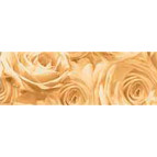 Калька URSUS А4 115г/м РОЗЫ Антик UR-50614602R